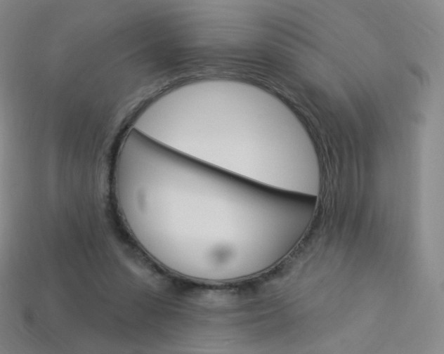 X0000114000303200910021036