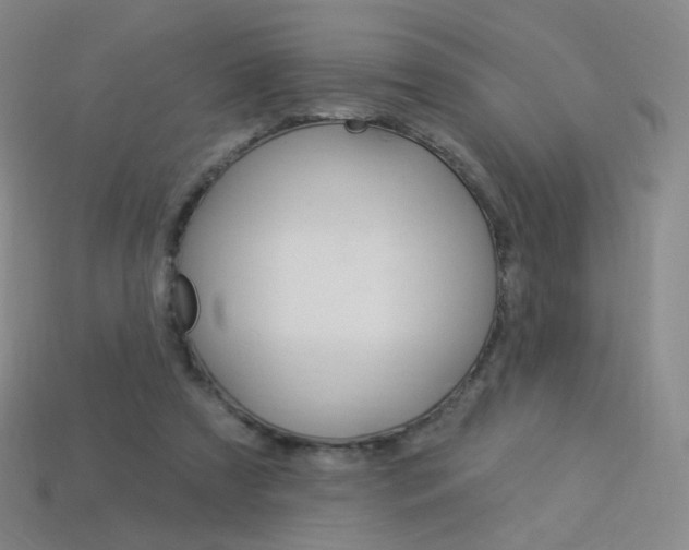 X0000114000305200910021036