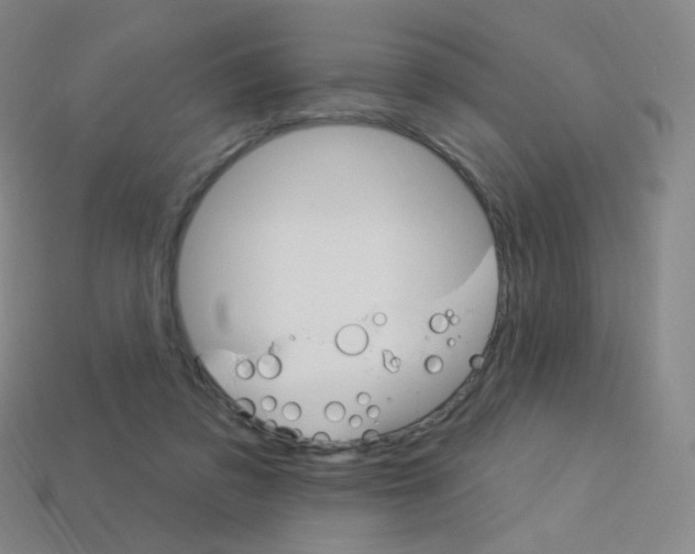 X0000114000309200910021036