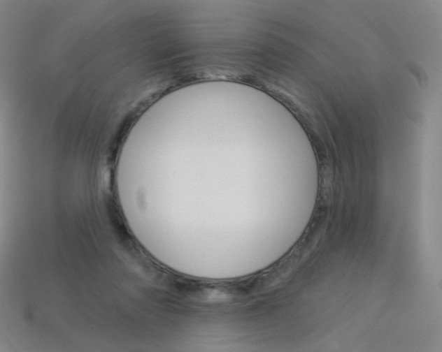 X0000114000310200910021036