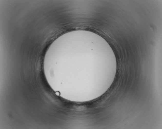 X0000114000311200910021036