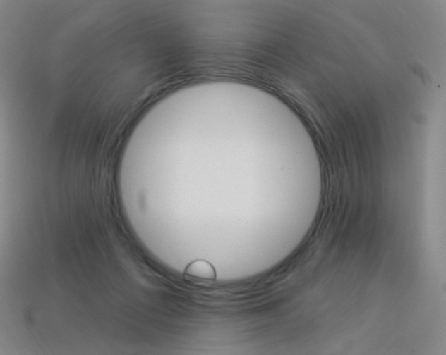 X0000114000312200910021036