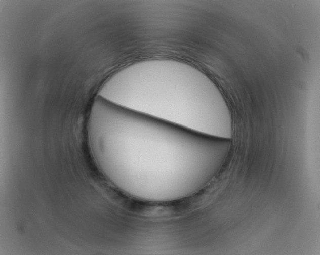 X0000114000319200910021035