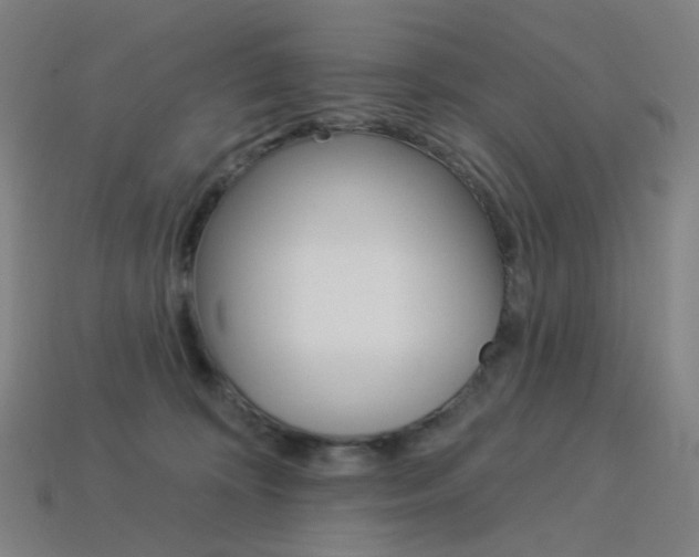 X0000114000324200910021035