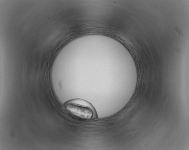 X0000114000325200910021035