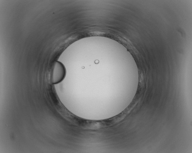 X0000114000330200910021035