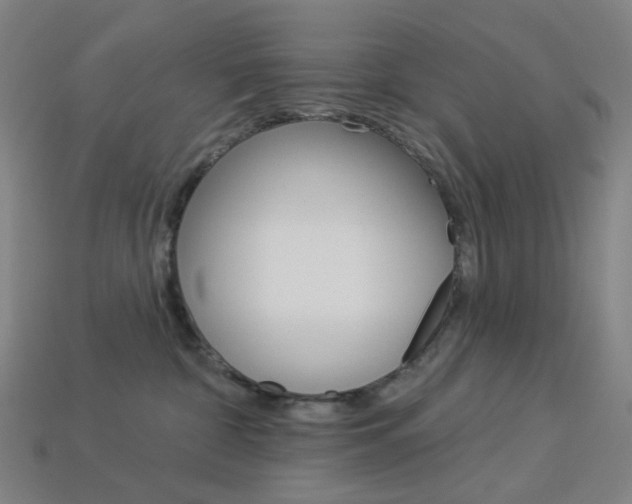 X0000114000332200910021035