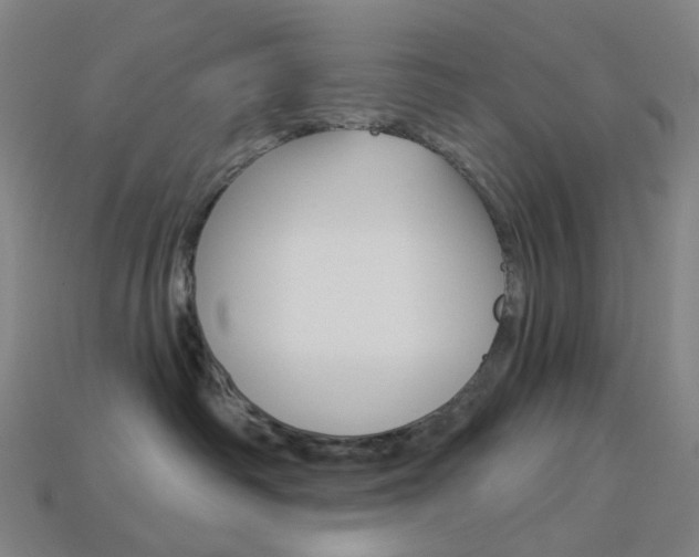 X0000114000334200910021035