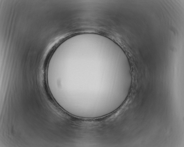 X0000114000342200910021035