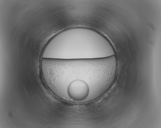 X0000114000345200910021035