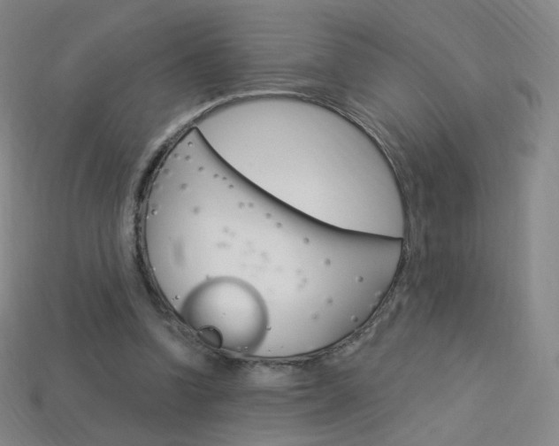 X0000114000346200910021035