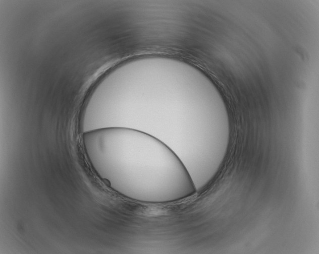 X0000114000348200910021035