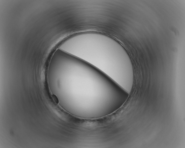 X0000114000350200910021035