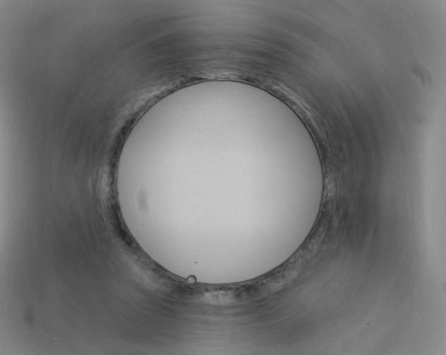 X0000114000353200910021035