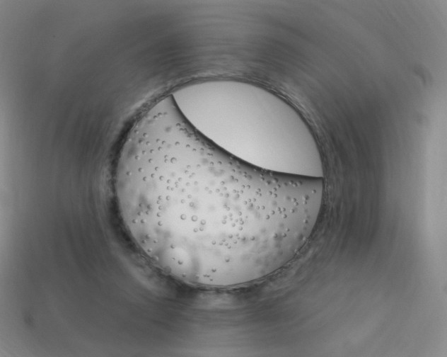 X0000114000354200910021035