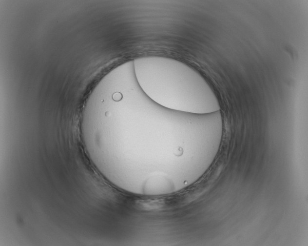 X0000114000359200910021035