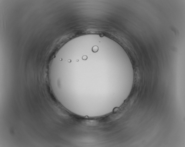 X0000114000361200910021035