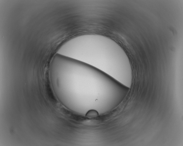 X0000114000364200910021035