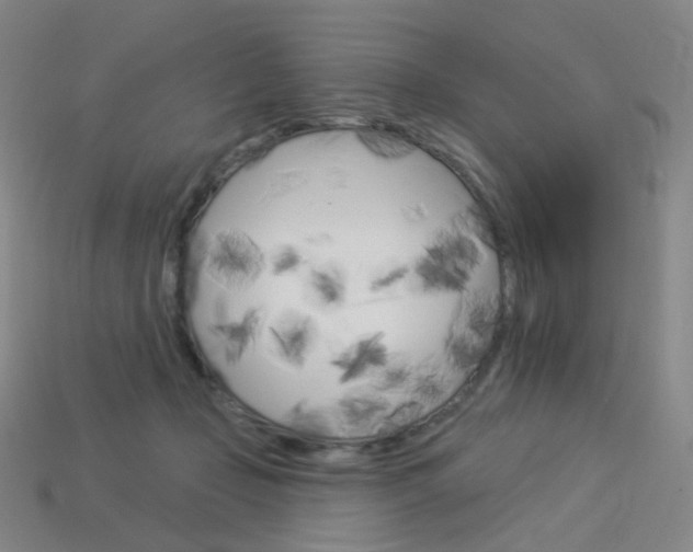 X0000114000365200910021035