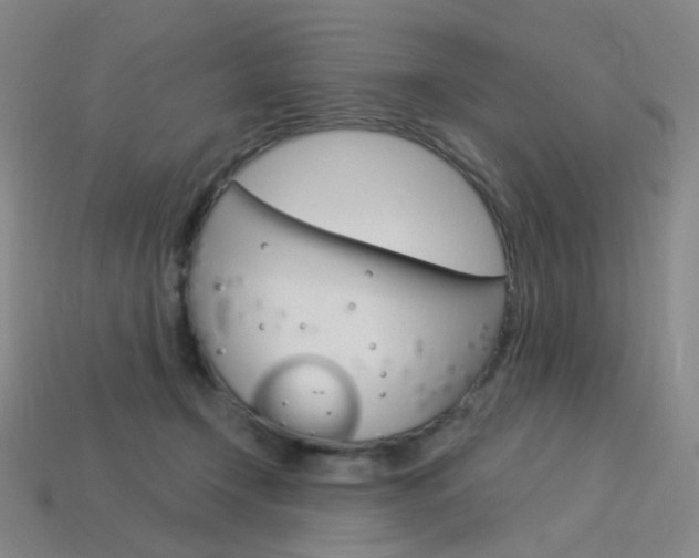 X0000114000366200910021035