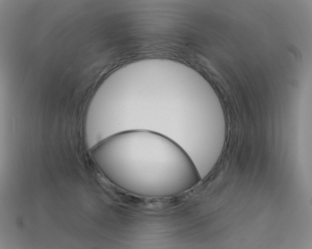 X0000114000368200910021035