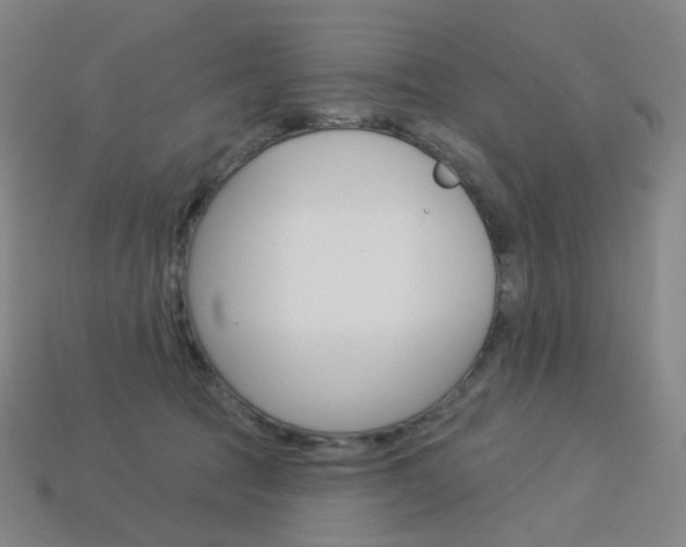 X0000114000369200910021035