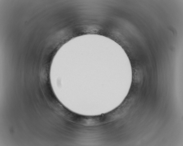 X0000114000370200910021035