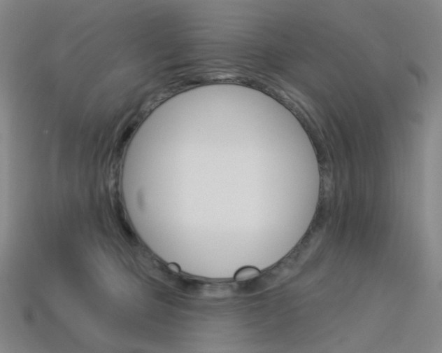 X0000114000373200910021035