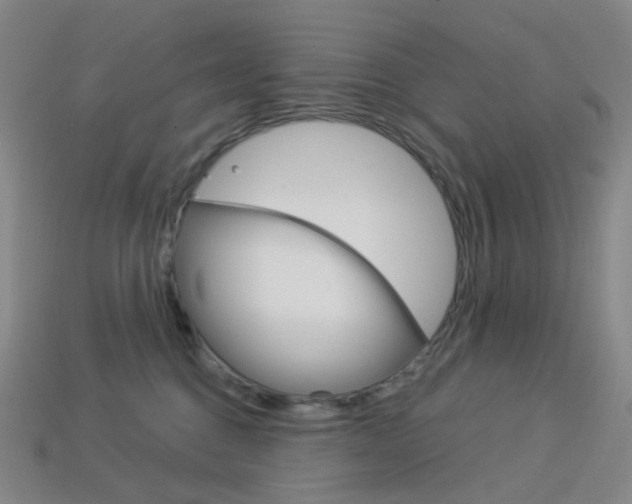 X0000114000376200910021035