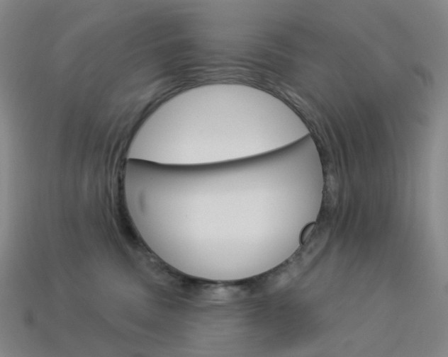 X0000114000379200910021035