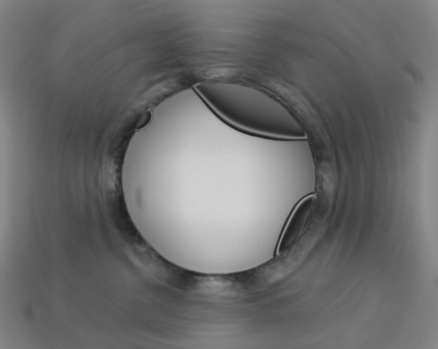 X0000114000380200910021035