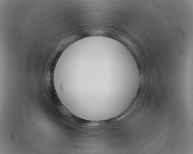 X0000114000381200910021035