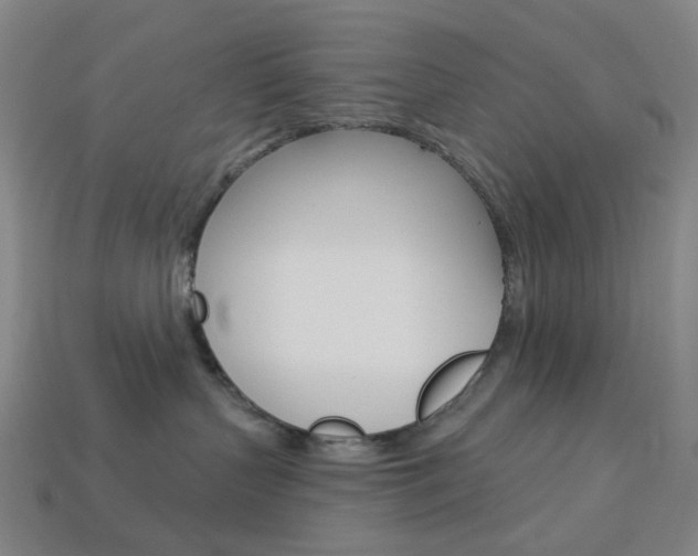 X0000114000383200910021035