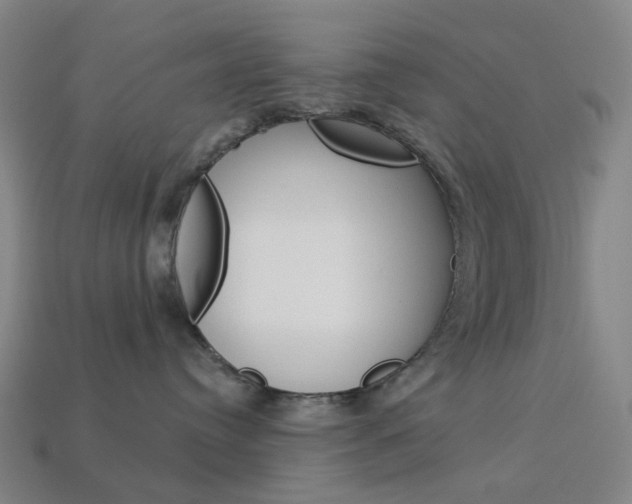X0000114000384200910021035