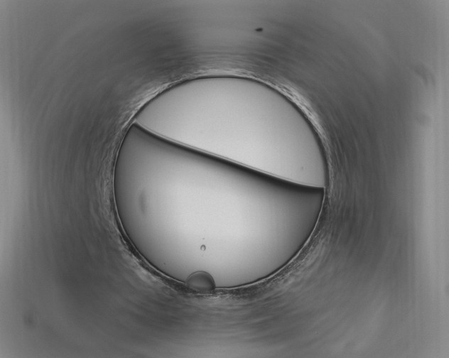 X0000114000385200910021035