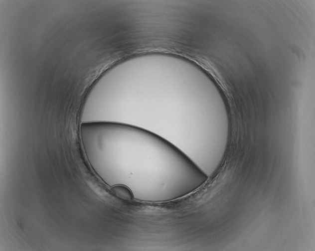 X0000114000393200910021034