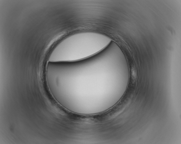 X0000114000396200910021034
