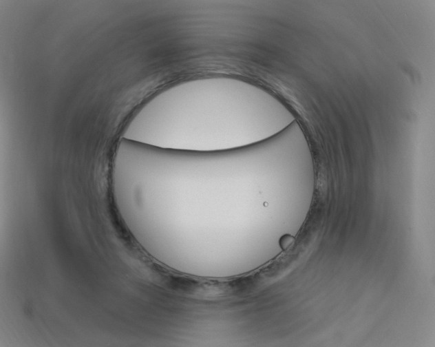 X0000114000402200910021034