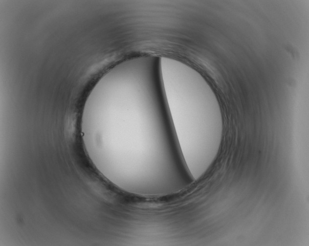 X0000114000404200910021034