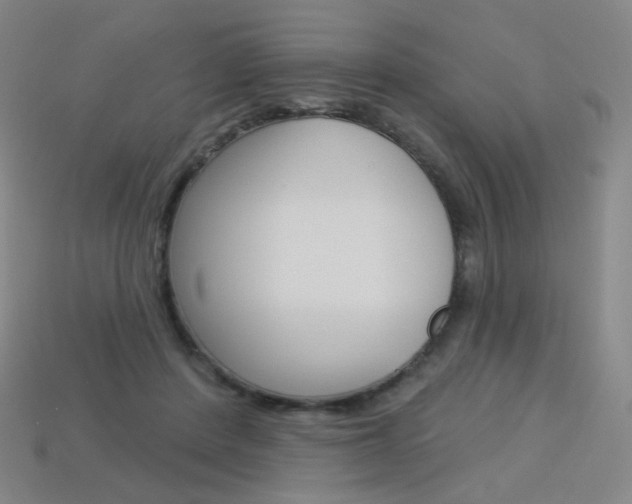 X0000114000408200910021034