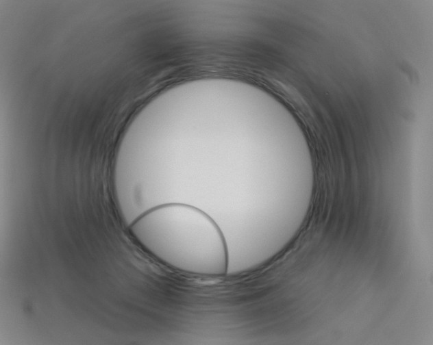 X0000114000409200910021034