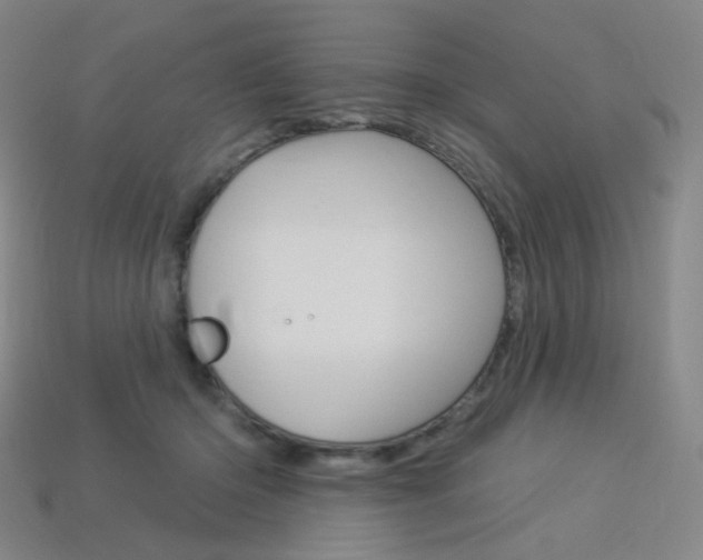 X0000114000414200910021034