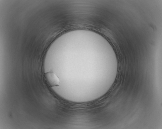 X0000114000415200910021034