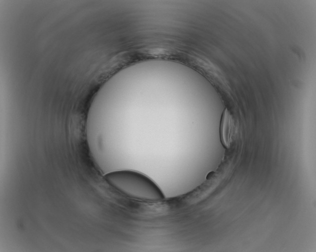 X0000114000421200910021034