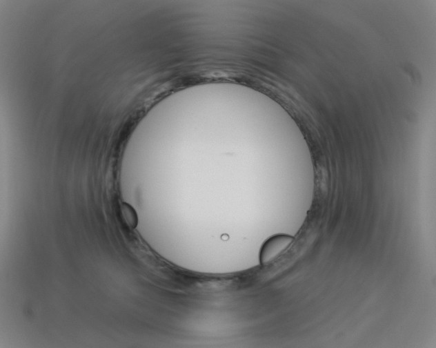 X0000114000422200910021034