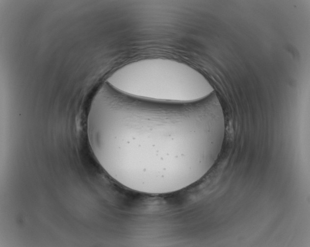 X0000114000424200910021034