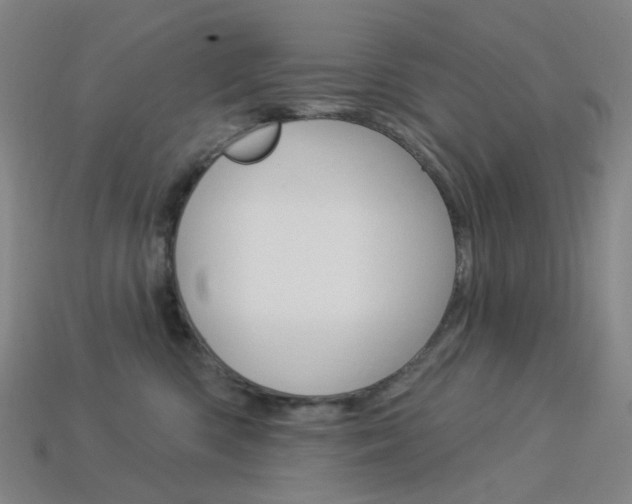 X0000114000426200910021034