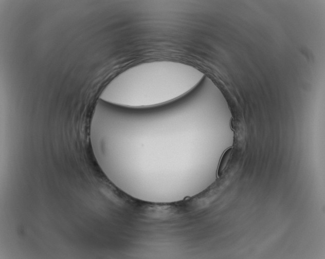X0000114000428200910021034