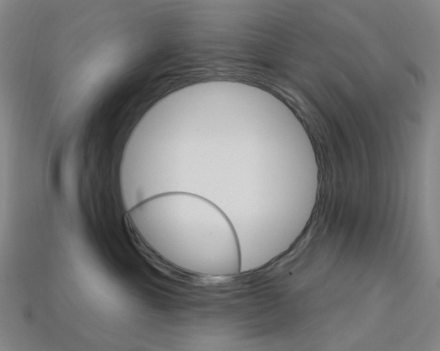 X0000114000429200910021034