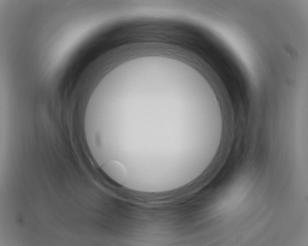 X0000114000431200910021034